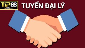 Cách TIP88 quản trị rủi ro cho đại lý